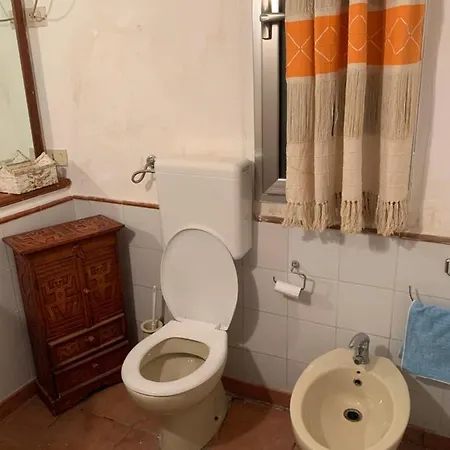 Convalis Hostel *