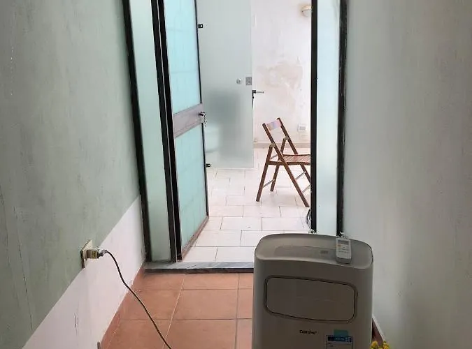 Convalis * Παλέρμο